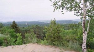 Денис Вертепа - Родина (живой звук)