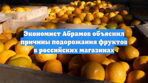 Экономист Абрамов объяснил причины подорожания фруктов в российских магазинах