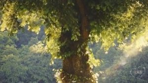 Жизненные истории ""Последнее обещание Истории из жизни / Рассказы / Слушать аудио рассказы