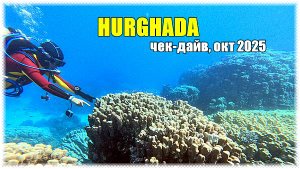 Дайвинг в Хургаде: октябрь 2025 — встреча с подводным раем