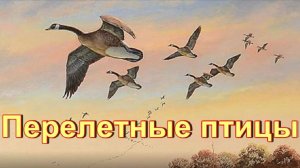 Перелетные птицы осенью.