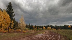 Осенний дождь