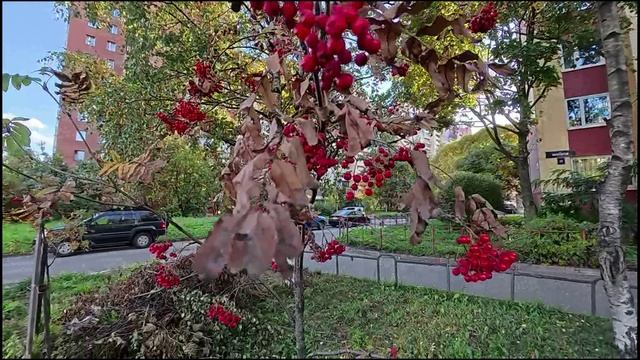 Осень. Октябрь. смотреть онлайн