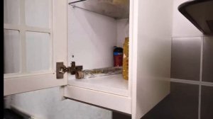 XRecorder_15102025_021143.mp4