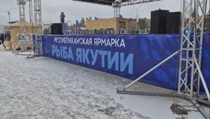 Ярмарка "Рыба Якутии" днем 24 октября 2025 года! Купили ряпушку по 320, омуля по 420 рублей!