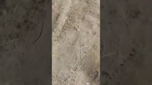 лалпьр