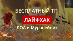 Скрытый способ сэкономить алмазы — бесплатный телепорт в Лоа и Муравейник Lineage 2m