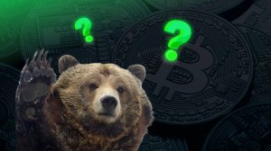 Планы на будущее развитие + анализ рынка + разбор сделок.