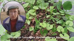Забытая могила Геннадия Яловича. Николо-Архангельское кладбище