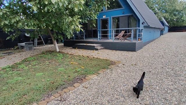 А фрейм на берегу реки Кирпили смотреть онлайн