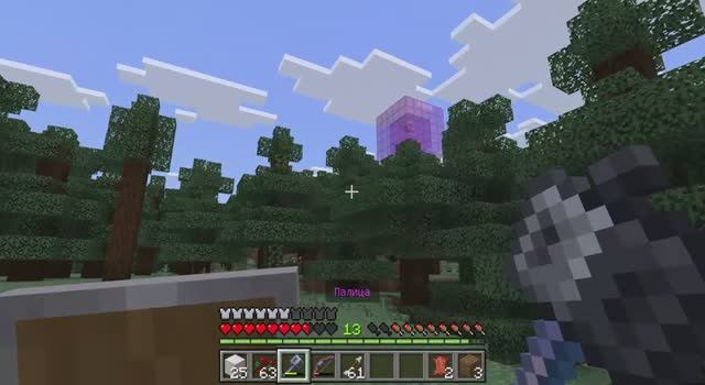 Что за штуку охраняли шалкеры? День 22