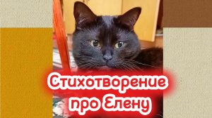 ПРО ЕЛЕНУ (стихотворение)