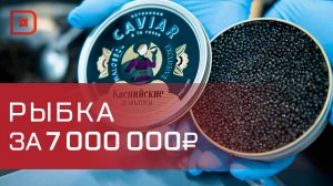 Незаконный улов нашли в гараже жителя Дагестана