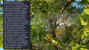 Николаев 25 октября 2025 года (новости)