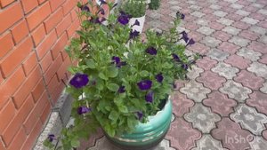 СУББОТНИЕ ДЕЛА✅/жизнь здесь и сейчас ❤️❤️❤️