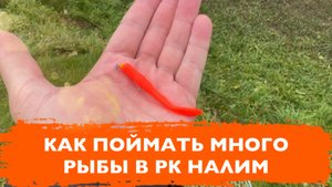 #26 ОТКУДА СТОЛЬКО СИЛ В ЭТОЙ РЫБЕ? РЫБАЛКА НА ФОРЕЛЬ В РК НАЛИМ. ПОКЛЕВКИ НА РЕЗИНУ НА СТРУЕ.