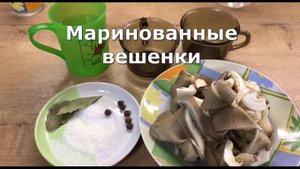 Маринованные Вешенки. Как замариновать грибы по-быстрому