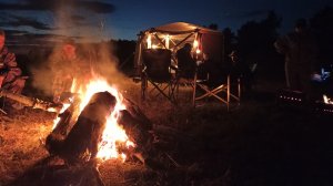 СЛЕТ КЛАДОИСКАТЕЛЕЙ 2025! КОП МОНЕТ В ДЕРЕВНЕ КОТОРОЙ 400 ЛЕТ