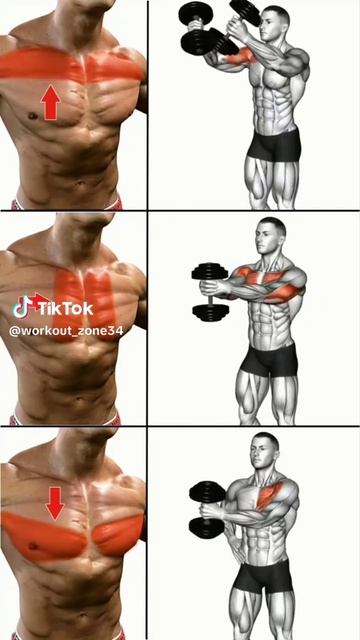 💪🏼УПРАЖНЕНИЙ С ГАНТЕЛЯМИ💪🏼 ДЛЯ ДОМА И ЗАЛА.../Все в твоих руках, действуй 🤜 🤛/