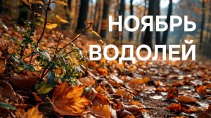 ВОДОЛЕЙ. ТАРО ПРОГНОЗ НА НОЯБРЬ