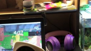 99 ночей на кампе