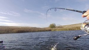 ОХОТА ЗА ОСЕННЕЕЙ ЩУКАЙ. Рыбалка с лодки. Щука на спиннинг.