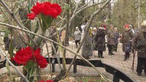 26.10.25 День белых журавлей