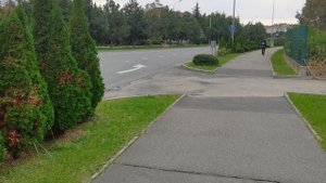 Сириус Прогулка.