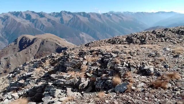 НАРКОТИЧЕСКИЕ КРАСОТЫ ЮЖНЫХ АЛЬП