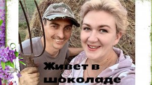 Опять всех запутать хочет?