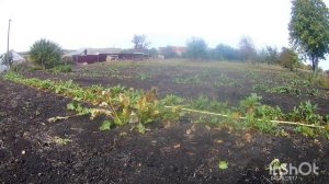 ПЕРЕКОПАЛ ПОЛ УЛИЦЫ, В ПОИСКЕ АРТЕФАКТОВ И РАРИТЕТОВ