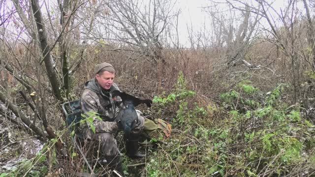 Охота на Тетеревов с Ружьём из Засидки. Великолепный налёт Чернышей на Макушку берёзы.