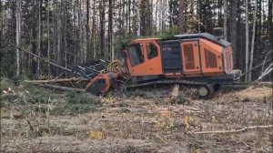 Работа ET-400 в реальных условиях. Самоходная машина UM-Truck с мульчером Um-Forest