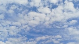 р. Северский Донец. Рыбалка 24.10.25. Поймали леща, карася.