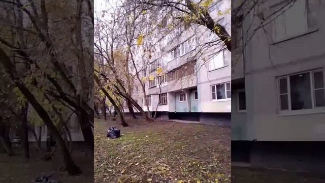 Moscow, Bibirevo district 23.10.2025