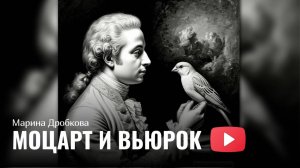 Марина Дробкова - Моцарт и вьюрок