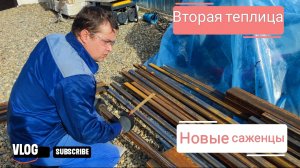 Влоги с юга🌻 Вторая теплица 😃 Новые саженцы на участке🌳
