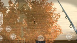 СОСНОВОЕ ОЗЕРО И ЕГО ГИГАНТЫ