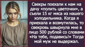 ИСТОРИЯ ИЗ ЖИЗНИ/Свёкры поехали к нам на дачу нам помочь и съели 15 кг мяса
