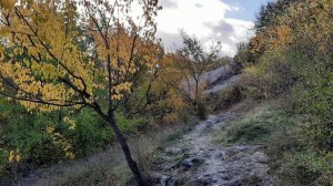 25.10.2025г. Симферополь. Чокурча