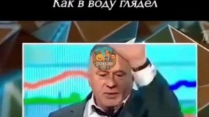 Жириновский 20 лет назад их предупреждал!