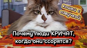 КОШКИ С ОЗВУЧКОЙ.