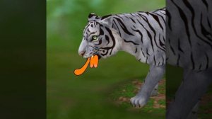 WildCraft Vore 2