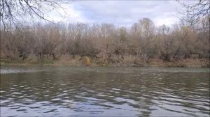 Рыбалка - прогулка на реке Воронеж, мкр. Малышево, 18.10.2025 года