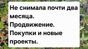 Не снимала почти два месяца.  Покупки, продвижение и новые проекты.