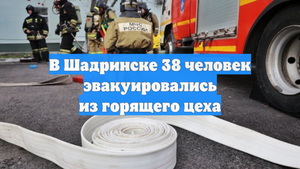 В Шадринске 38 человек эвакуировались из горящего цеха