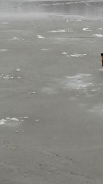 Лиса попрошайка_ рыбалка осень 2025 смотреть онлайн