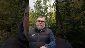 Анонс профи мастер-класса. +79499234047
