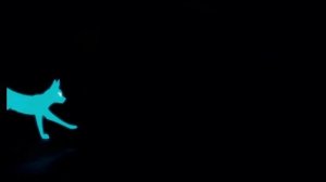 коты воители мап песня о у он и слот