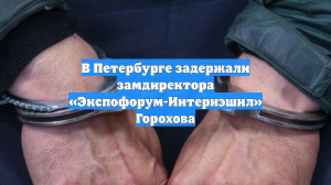 В Петербурге задержали замдиректора «Экспофорум-Интернэшнл» Горохова